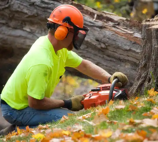 tree services Henning